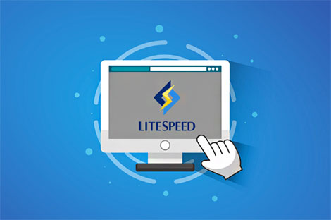 LiteSpeed Cache