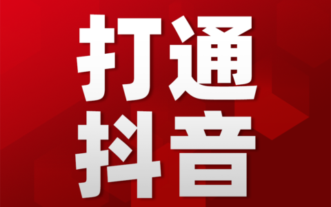 中文域名转码及百度收录策略：互联网专家的经验分享