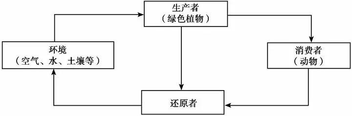 从自然生态系统中，互联网可以学到什么？