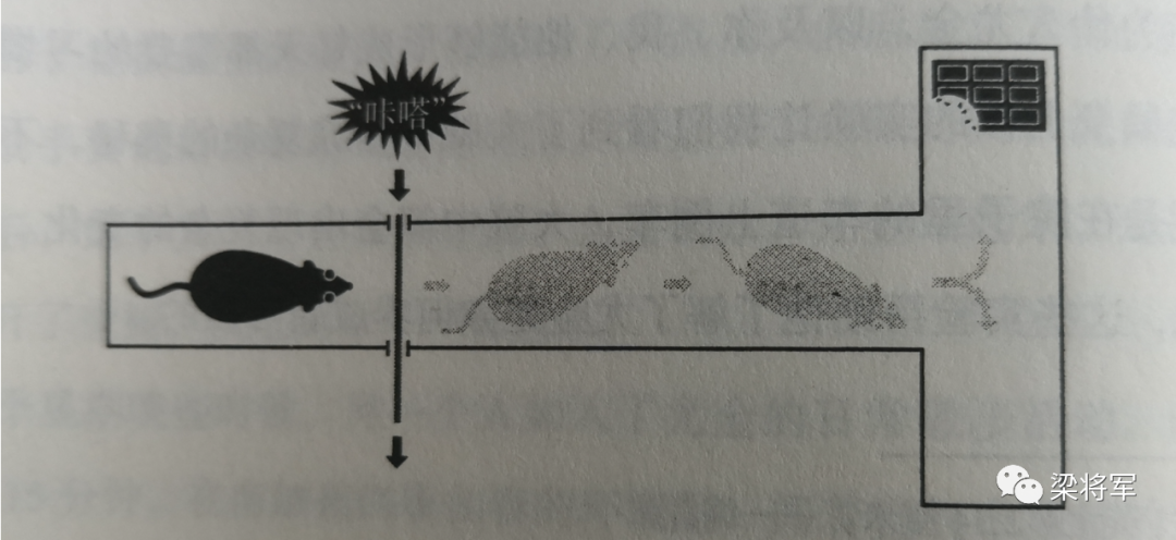 一个公式，把营销从玄学变回科学